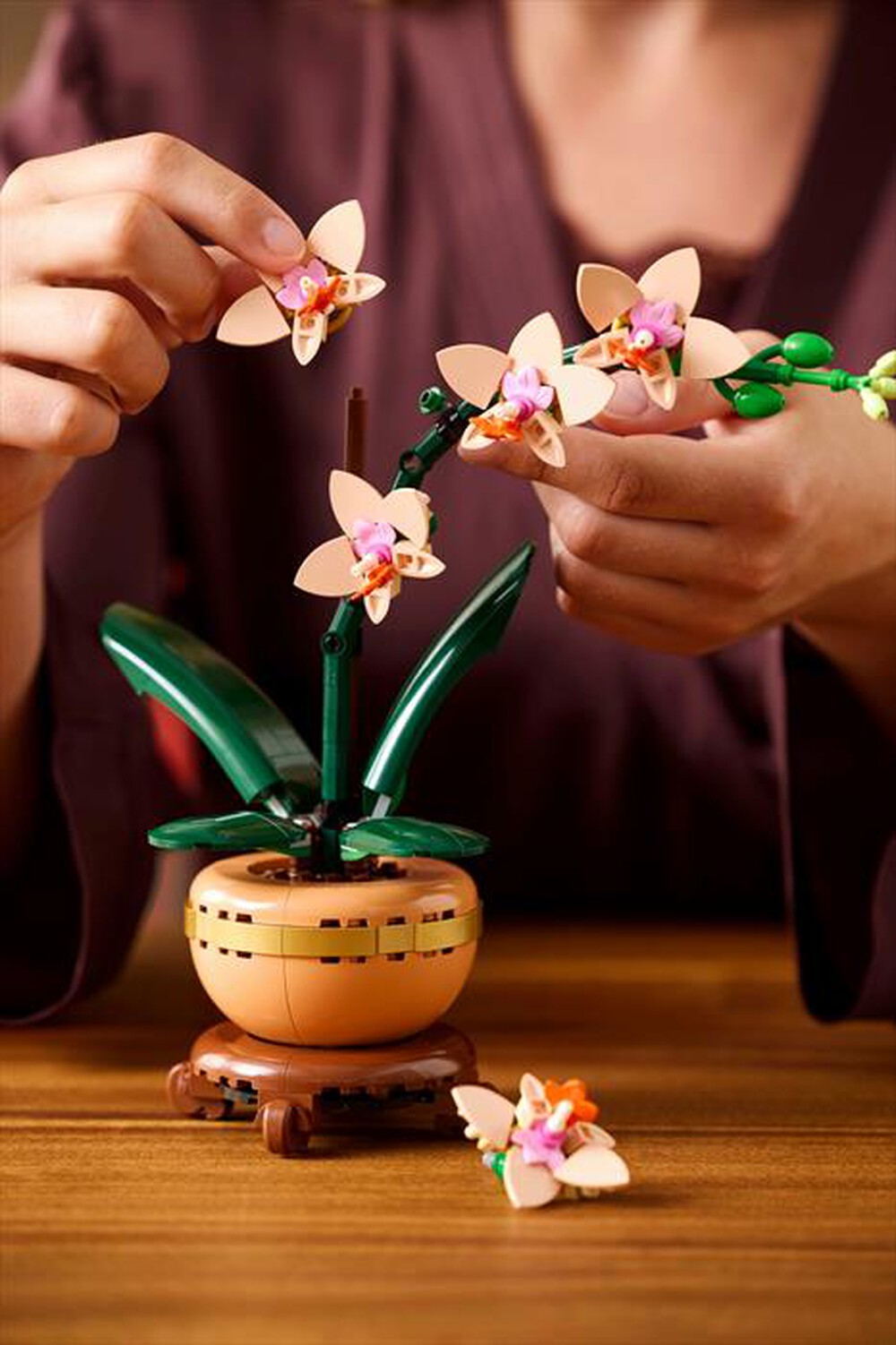 Immagine del prodotto LEGO - BOTANICALS Mini-orchidea 10343