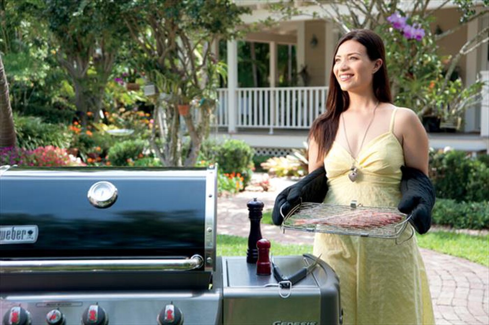 "WEBER - GRATICOLA DA PESCE - GRANDE 46X284-acciaio"