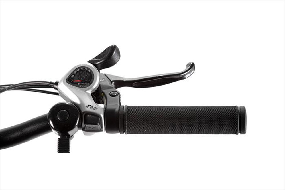 smartway fat bike