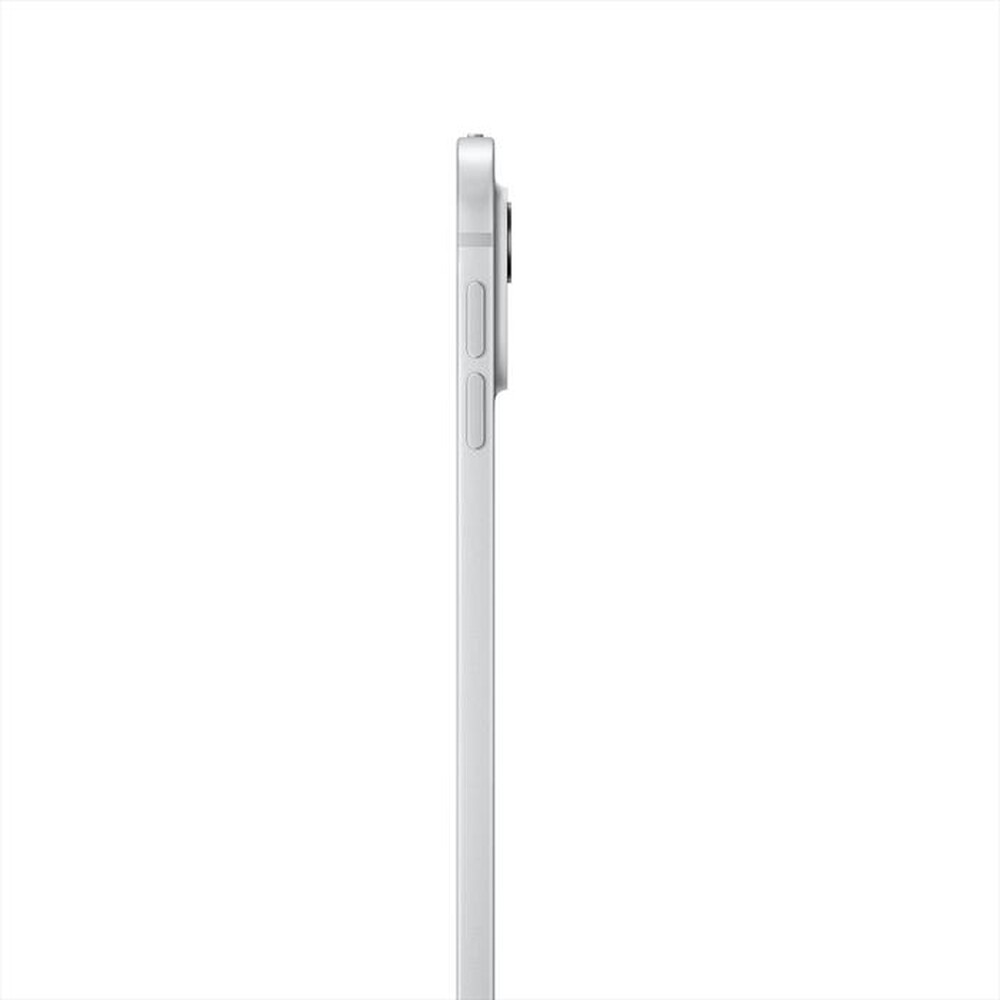"APPLE - iPad Pro 13'' Wi-Fi 1TB Nano-texture Glass-Argento"