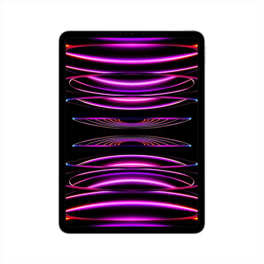 Immagine del prodotto APPLE - iPad Pro 11" WI-FI 256GB-Grigio Spaziale