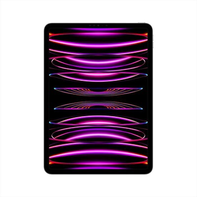 APPLE - iPad Pro 11" WI-FI 256GB-Grigio Spaziale