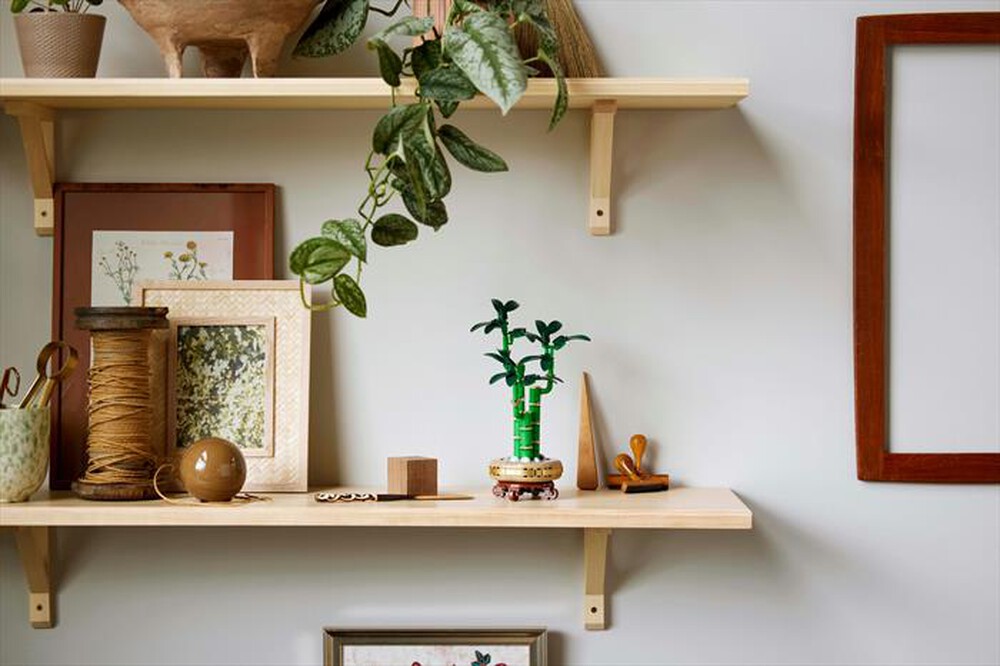 Immagine del prodotto LEGO - BOTANICAL COLLECTION Bambù del buon auspicio 10344
