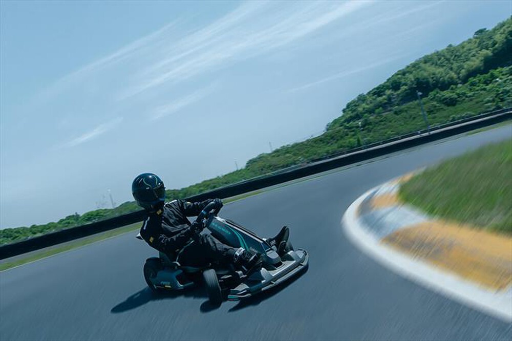 Immagine del prodotto SEGWAY - NINEBOT GOKART PRO 2-Grigio