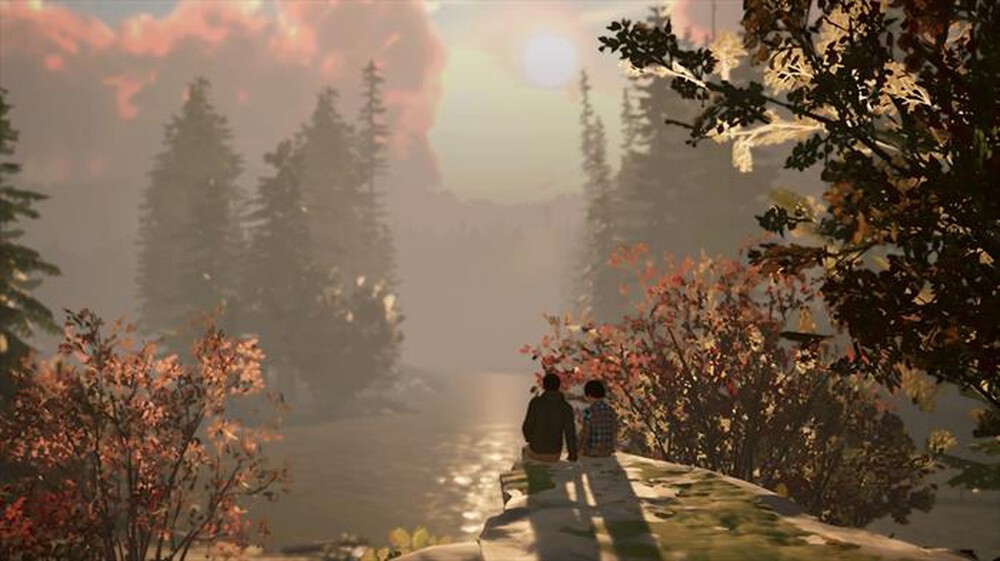 Immagine del prodotto BANDAI SQUARE ENIX - LIFE IS STRANGE 2 (CIAB) NSW