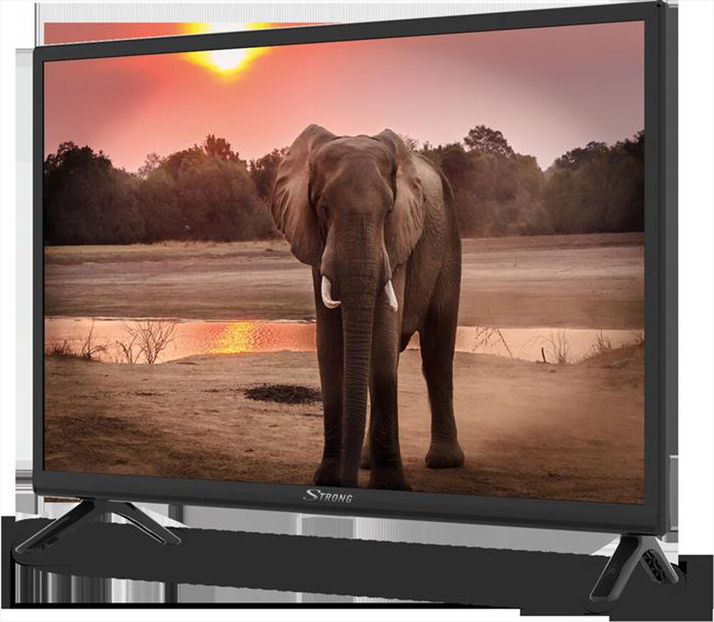 "STRONG - TV 24 Pollici HD ready 24HC4023-nero"