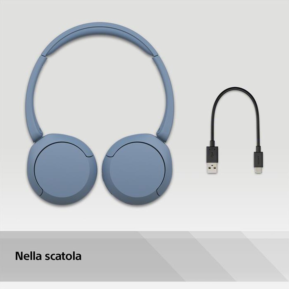 "SONY - Cuffie a padiglione chiuso WHCH520L.CE7-Blu"
