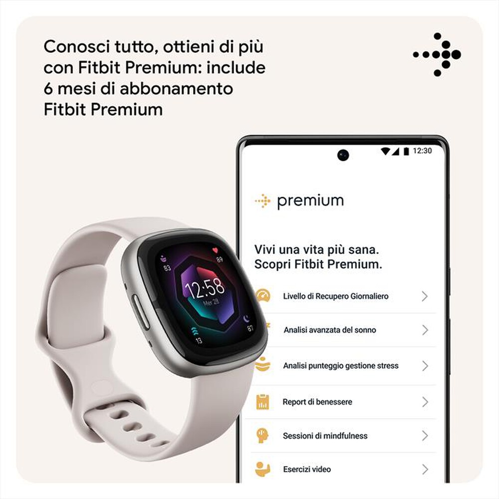 "FITBIT - SENSE 2 - FB521SRWT-BIANCO LUNARE/ALL GRIG"