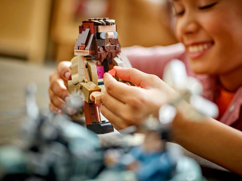 Immagine del prodotto LEGO - HARRY POTTER Giro sul sidecar Hagrid e Harry 76443