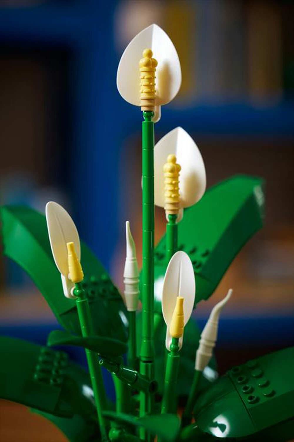 Immagine del prodotto LEGO - BOTANICALS Spatifillo - 11504