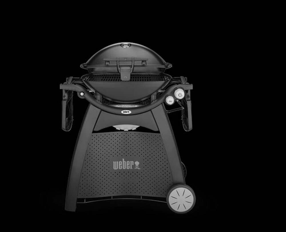Immagine del prodotto WEBER - Q 3200 CON STAND - BARBECUE A GAS