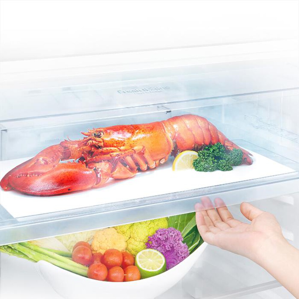 Immagine del prodotto LG - Frigorifero 2 porte GTB574PZHZD Classe E 471lt-Inox Platinum Silver