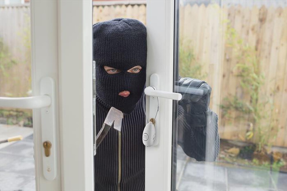 Immagine del prodotto TECH POP - SOS LOCKY - ALLARME PORTATILE PER PORTE-Bianco