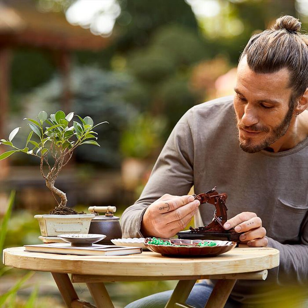 Immagine del prodotto LEGO - BOTANICALS Albero Bonsai 10281