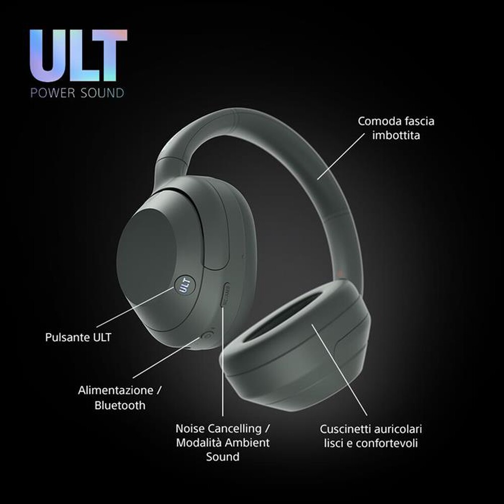 "SONY - Cuffie a padiglione chiuso WHULT900NH.CE7-Grigio Foresta"