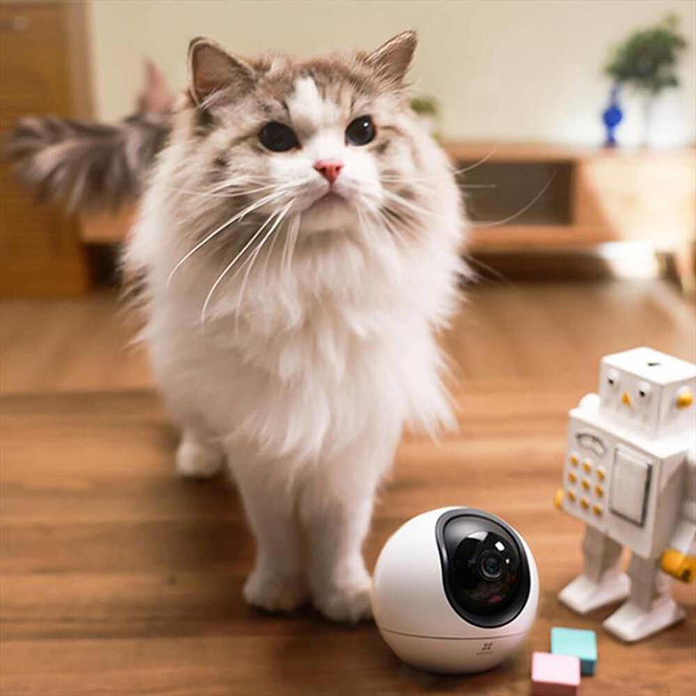 "EZVIZ - Telecamera Smart Home C6 + MICROSD 32GB-White"