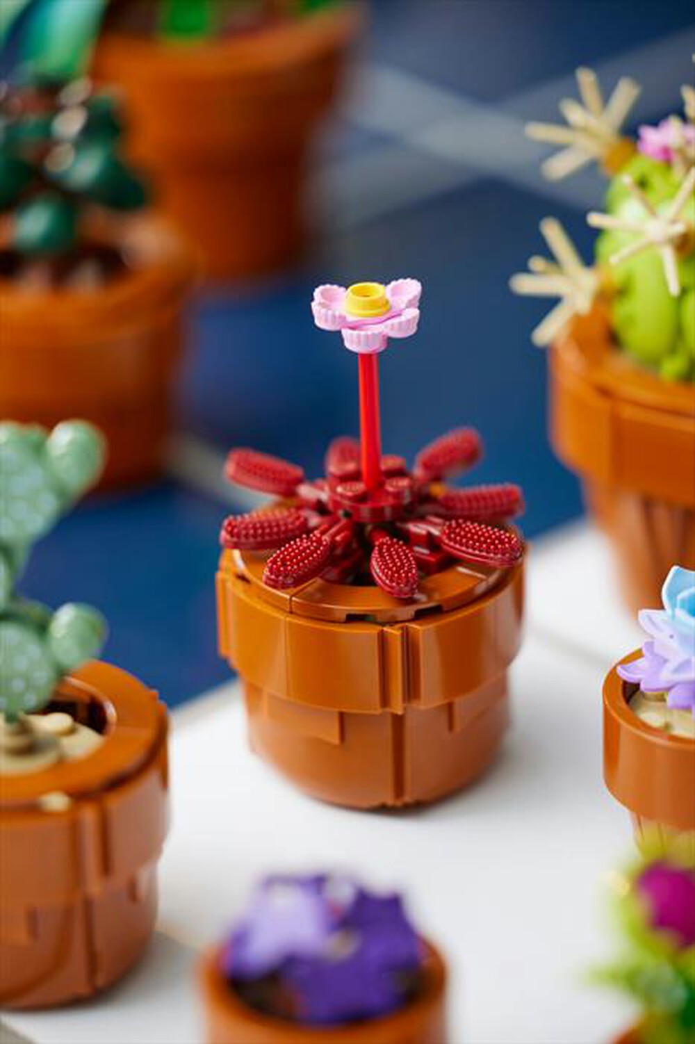 Immagine del prodotto LEGO - BOTANICALS Piantine 10329