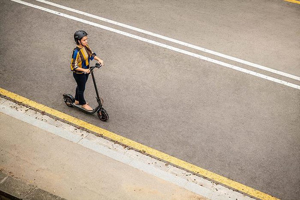 "SEGWAY - KickScooter F25I-DARK GREY"