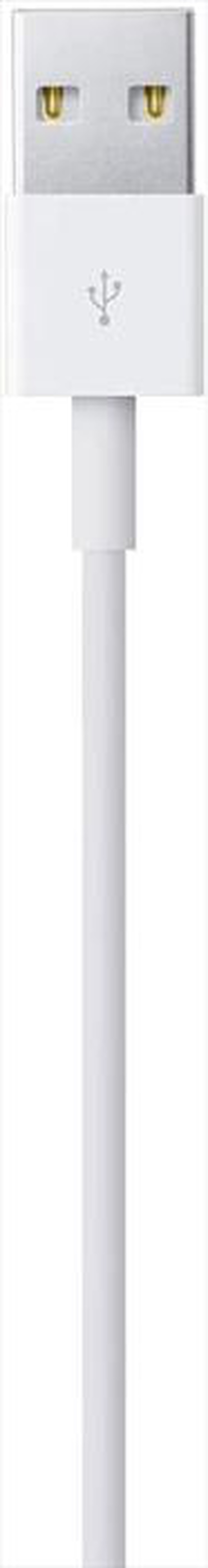 "APPLE - Cavo da Lightning a USB (1m)"