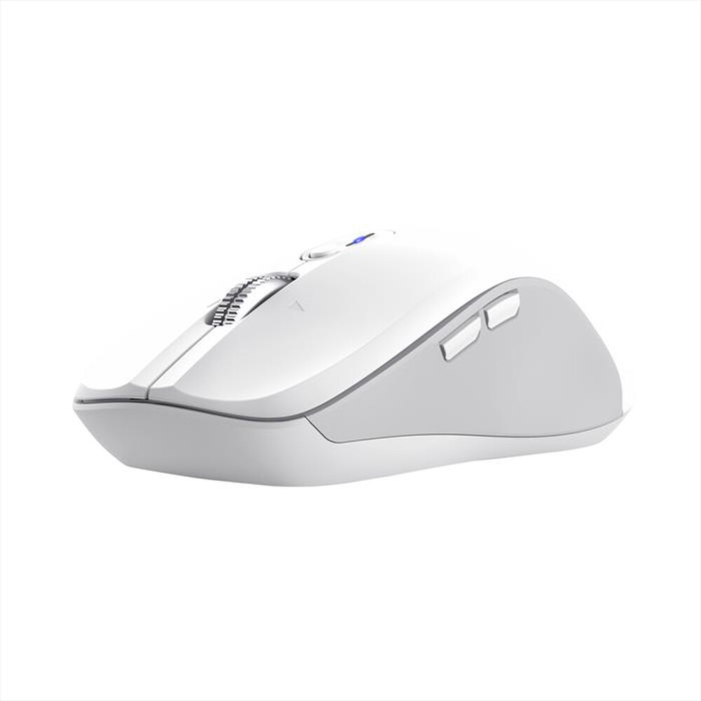 Immagine del prodotto TRUST - FERRO HYPERWHEEL WRLS MOUSE-White