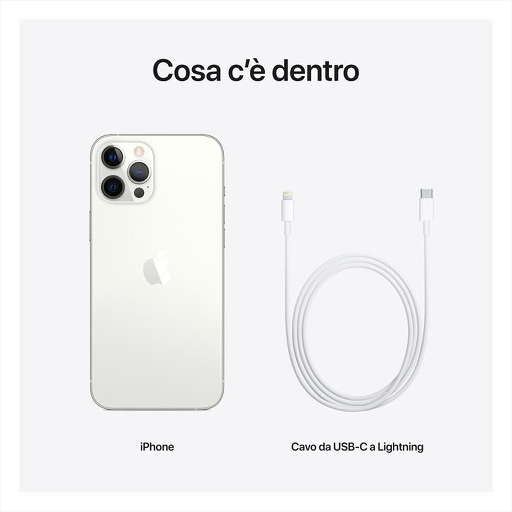 "APPLE - iPhone 12 Pro Max 128GB-Argento"