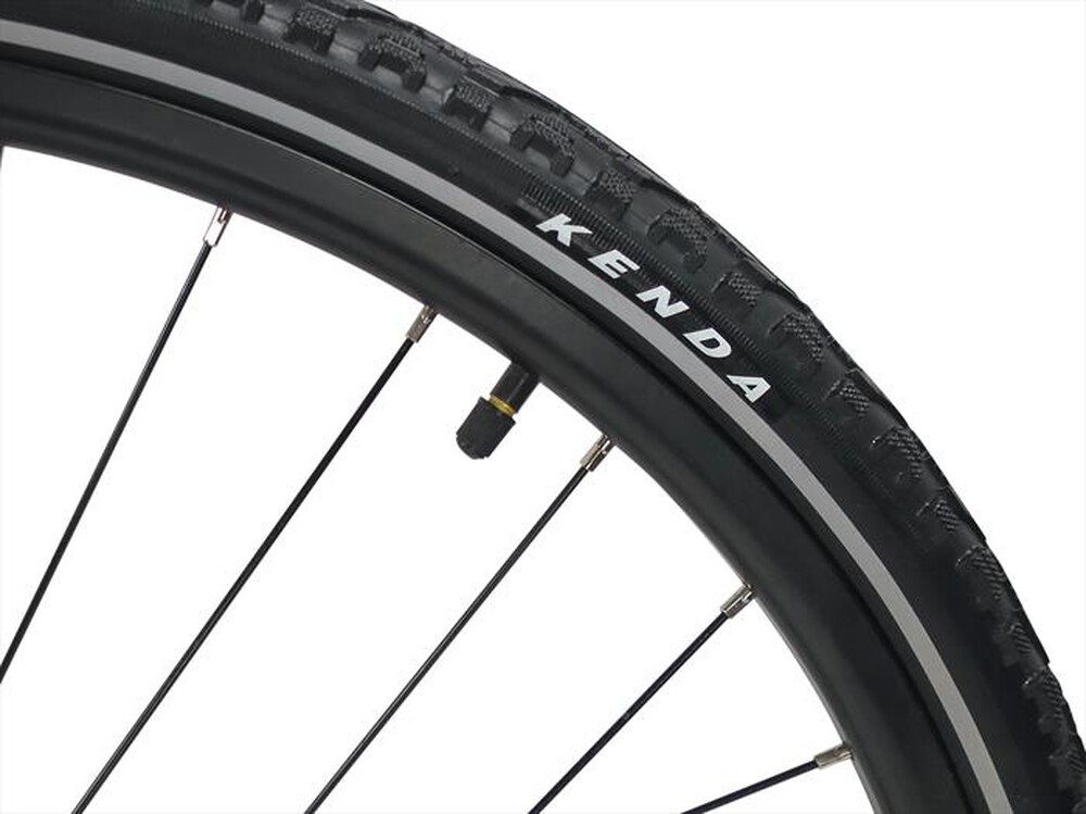 "LEGNANO - E-BIKE CITY ARIA DORINA-Bianco e grigio"