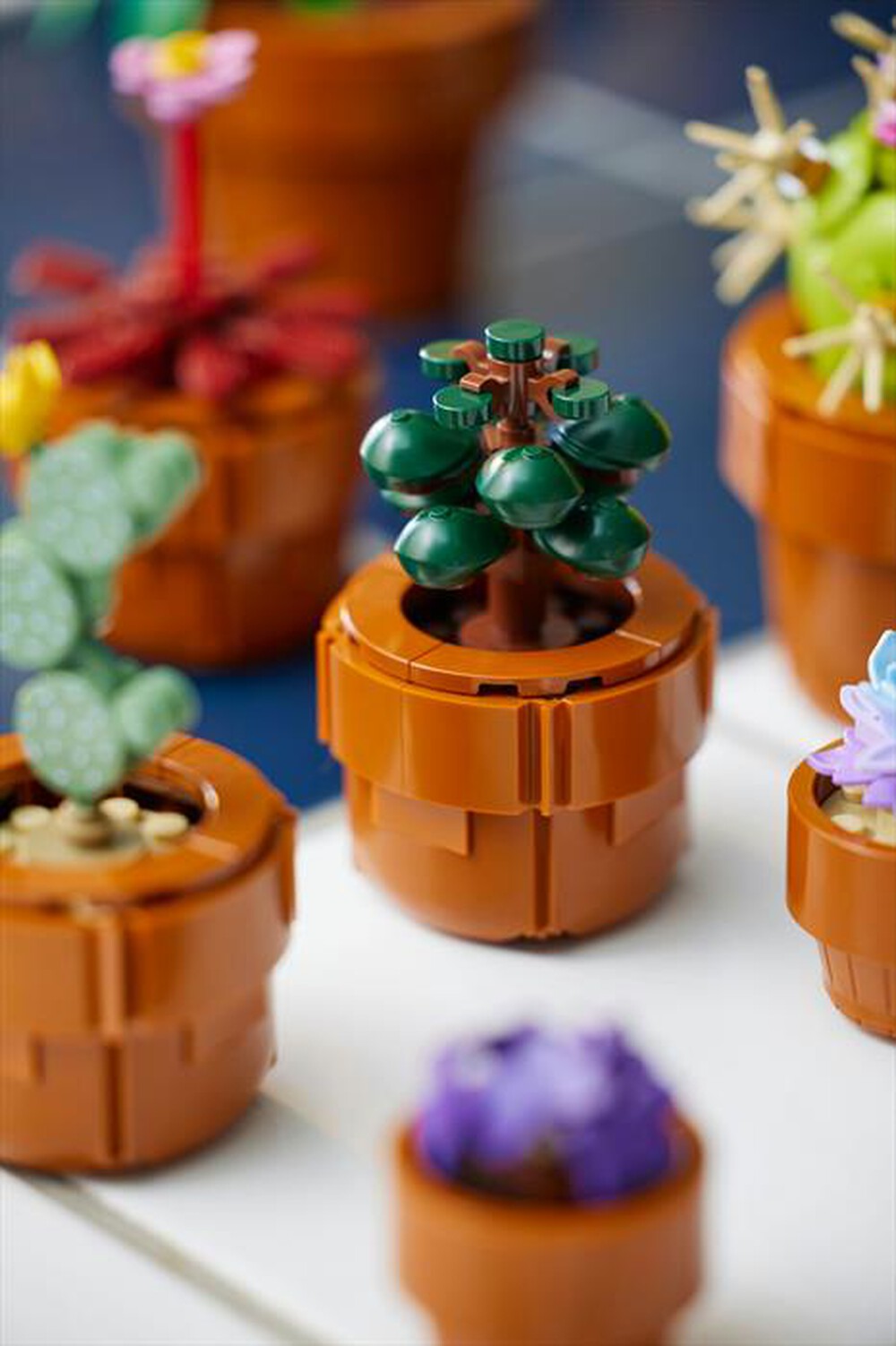 Immagine del prodotto LEGO - BOTANICALS Piantine 10329