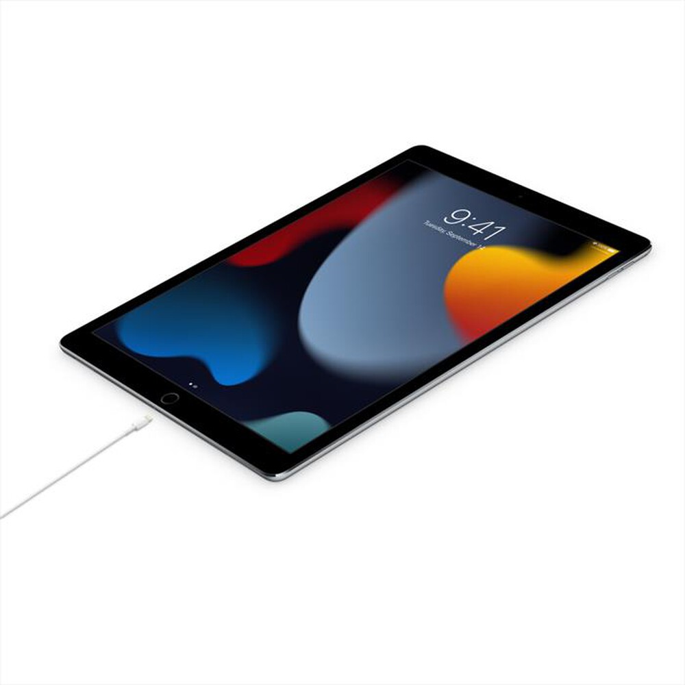 "APPLE - Cavo da USB-C a Lightning (1 m)"
