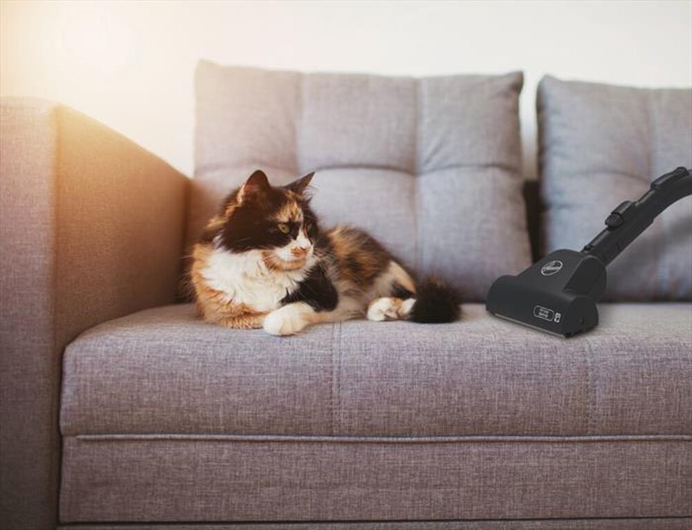 Immagine del prodotto HOOVER - Aspirapolvere a traino HE520PET 011-Nero