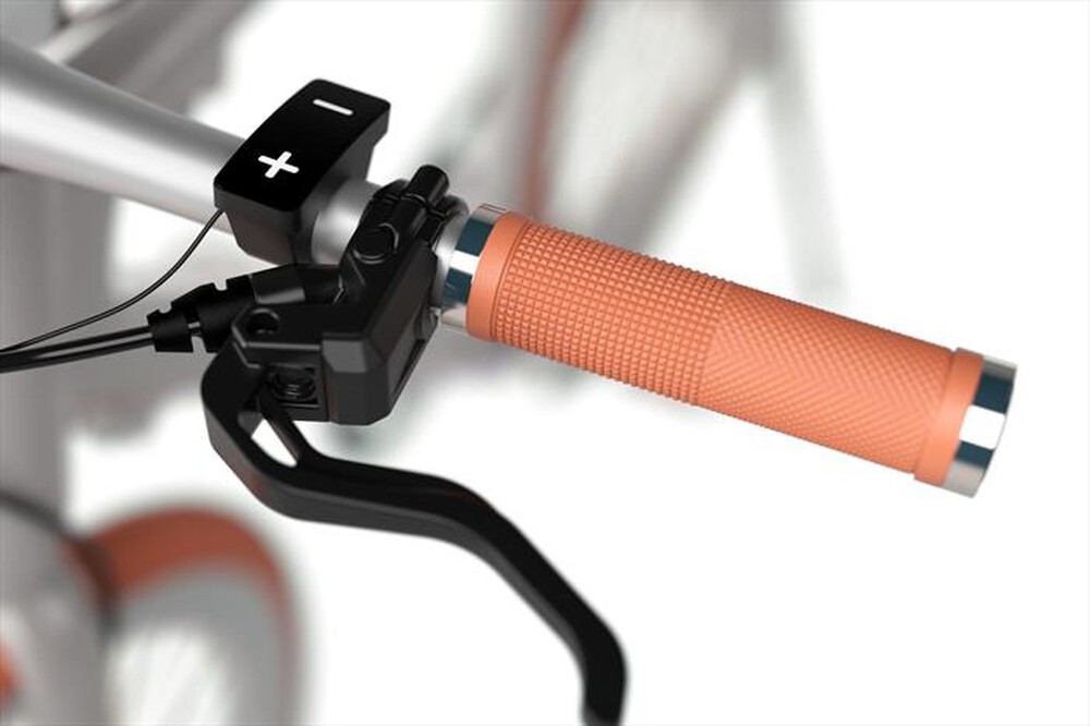 "SHARP - Bici elettrica a pedalata assistita BK-RS08E-S-Silver"