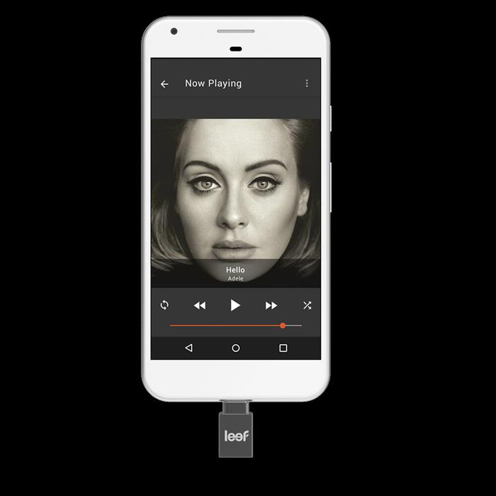"LEEF - BRIDGE TYPE C 32GB-Black"