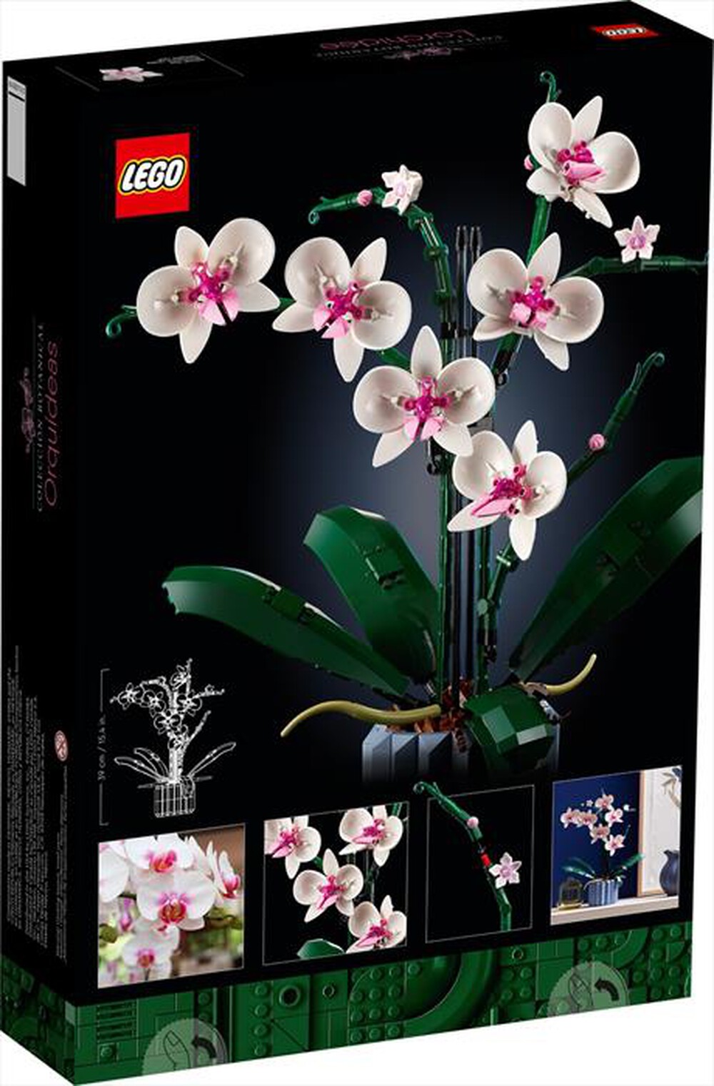 "LEGO - CREATOR PIANTA-10311-Multicolore"