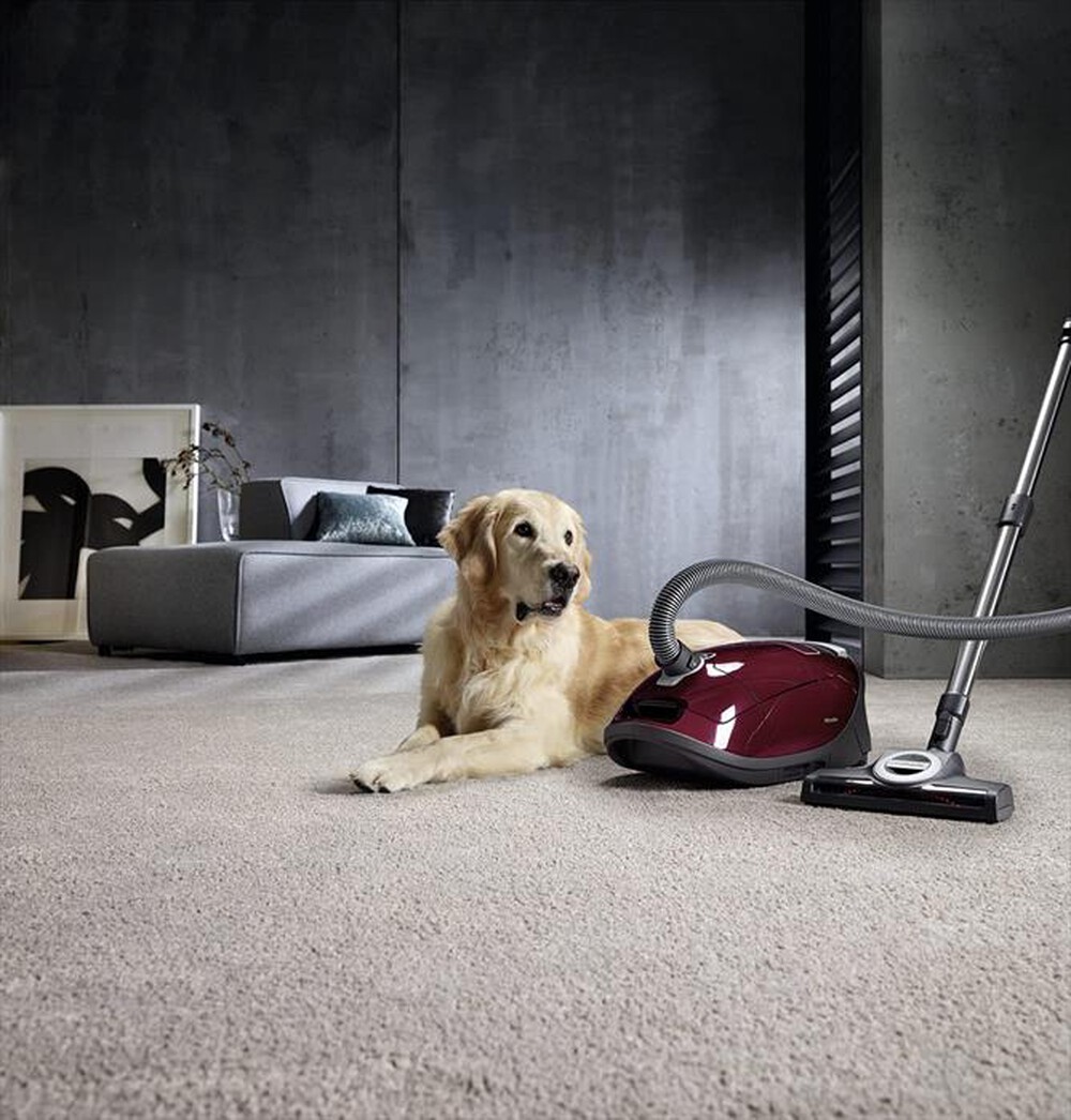 "MIELE - Aspirapolvere a traino C3 CAT&DOG POWE-Rosso rubino"