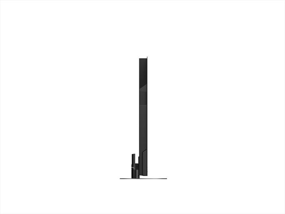 "PANASONIC - TX-55JZ2000E-NERO"