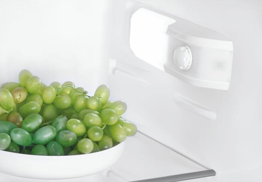 Immagine del prodotto CANDY - Frigorifero 2 porte CFBD24505EH Classe E 205 lt-Bianco