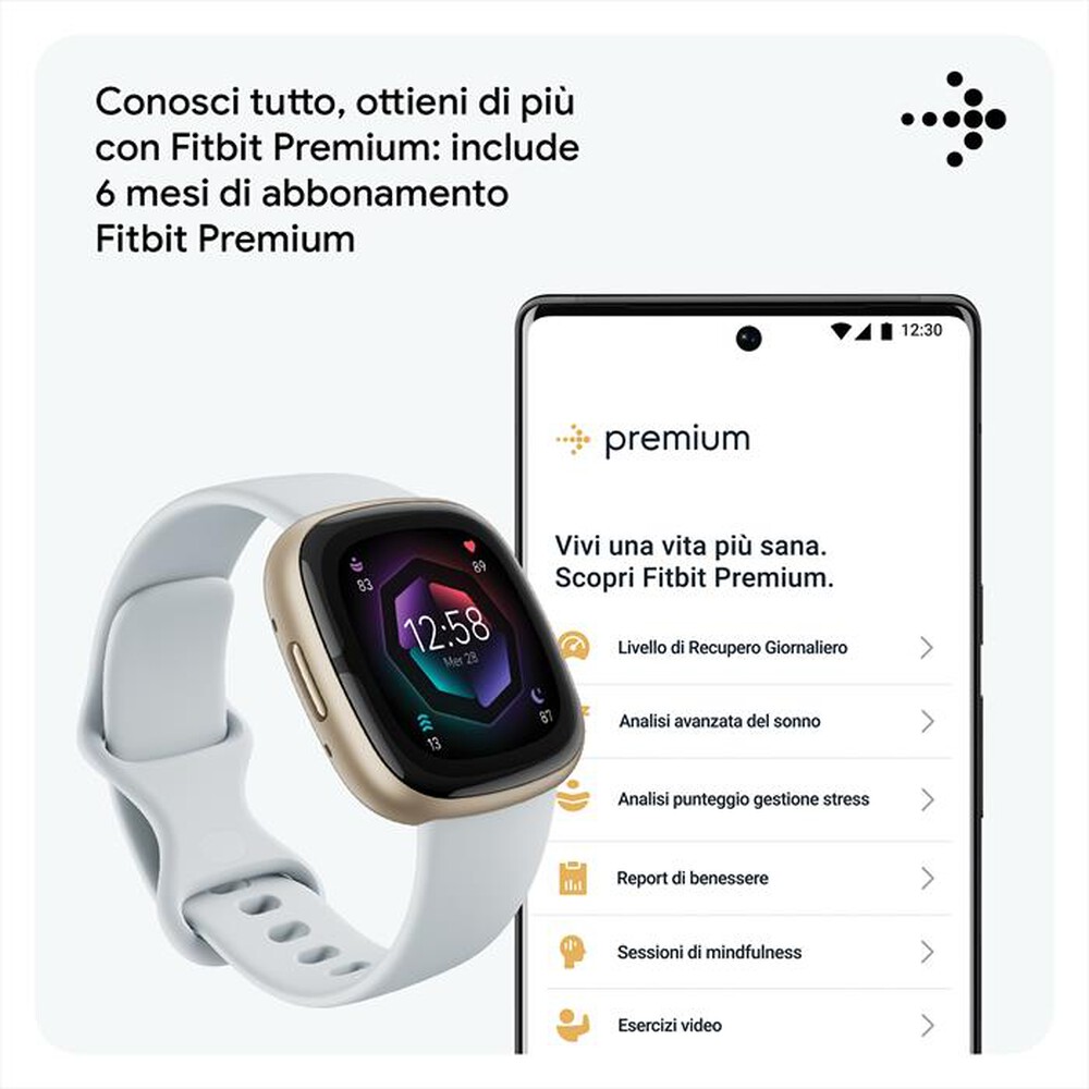 "FITBIT - SENSE 2 - FB521GLBM-BLU /ALLUMINIO"