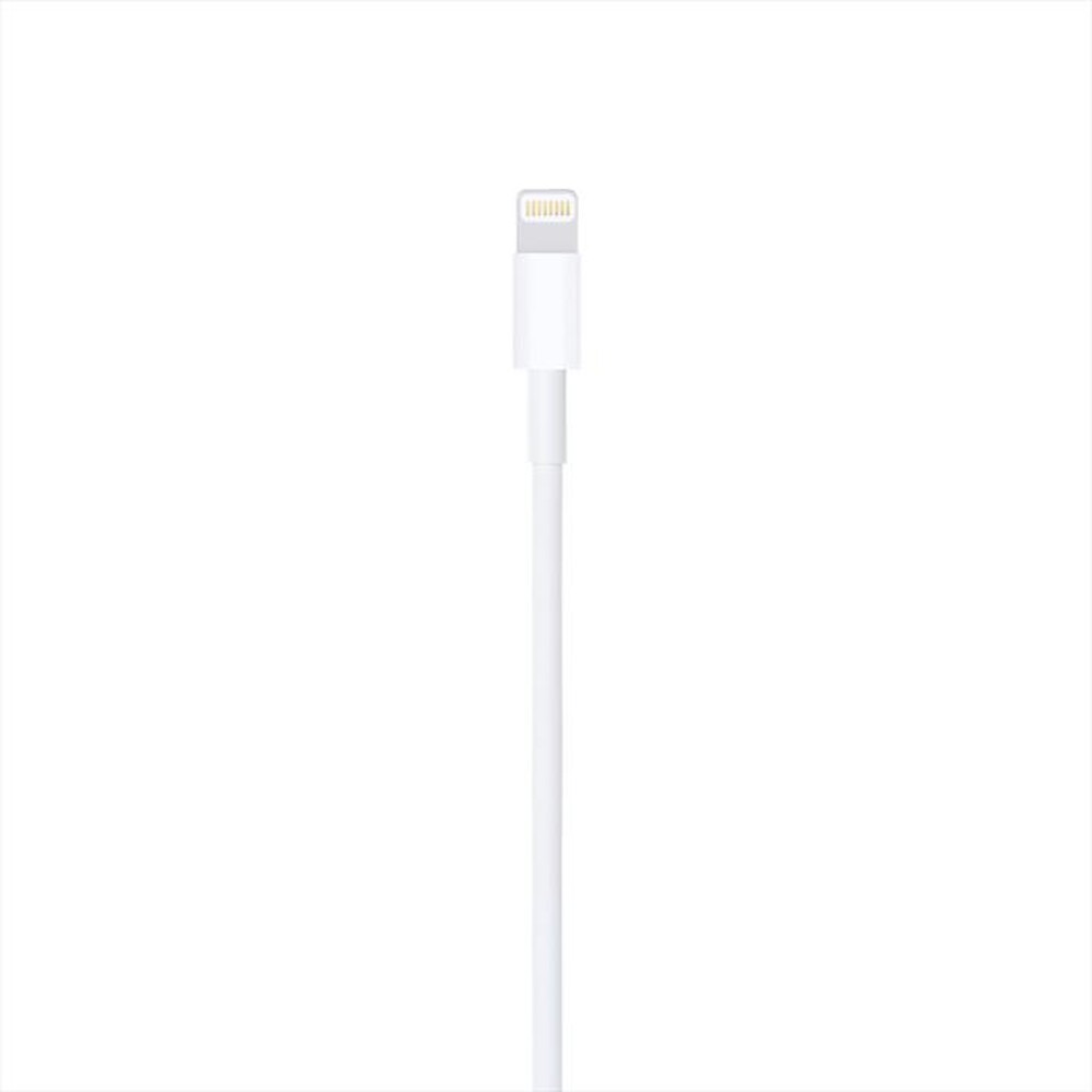Immagine del prodotto APPLE - Cavo da Lightning a USB (1 m)