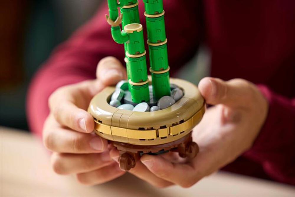 Immagine del prodotto LEGO - BOTANICALS Bambù del buon auspicio 10344