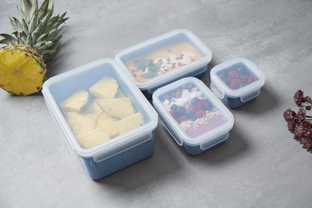 Immagine del prodotto EMSA - Contenitori Salvafreshezza 4 pz N1030800-Blu