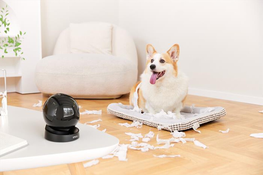 Immagine del prodotto IMOU - Telecamera da interno motorizzata REX 3D 3K-NERO