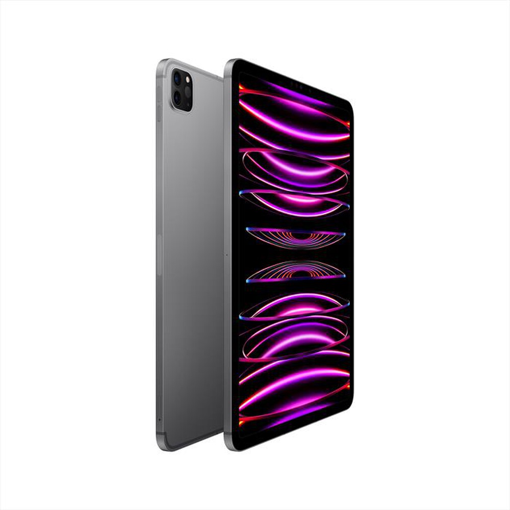 "APPLE - iPad Pro 11\" WI-FI + CELLULAR 256GB-Grigio Spaziale"