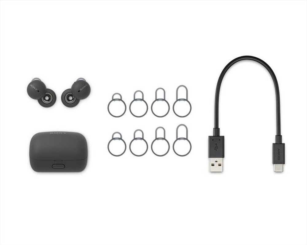 "SONY - Auricolari Bluetooth WFL900H.CE7-Grigio Antracite"