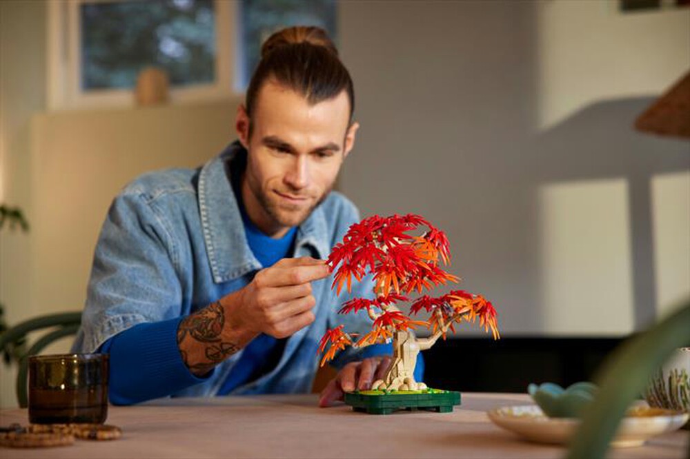 "LEGO - BOTANICALS Bonsai di acero rosso giapponese-10348"