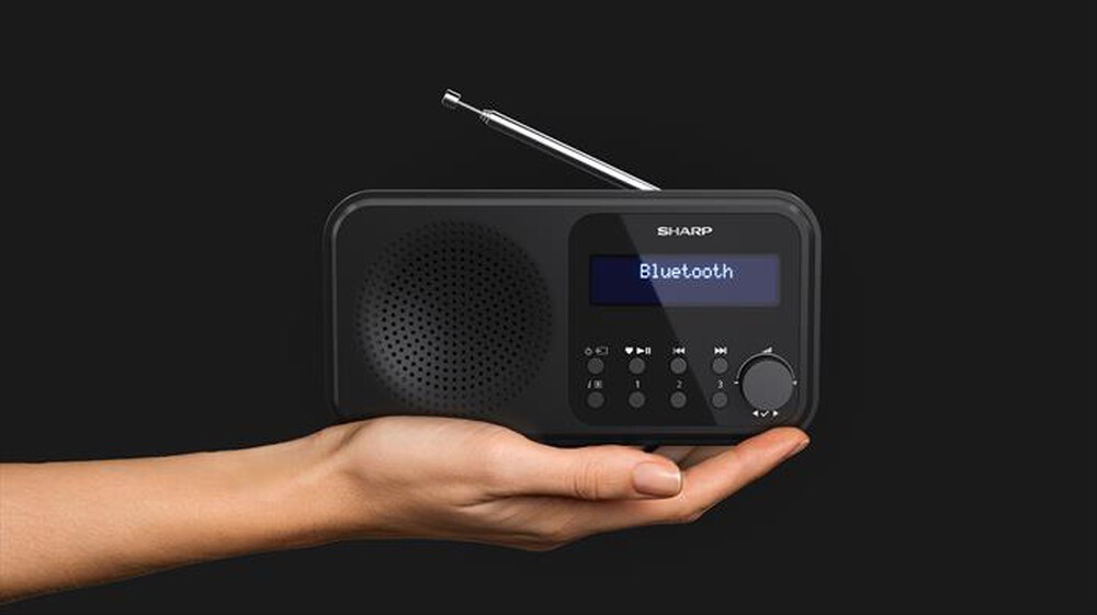 Immagine del prodotto SHARP - Radio FM DR-P420-Nero