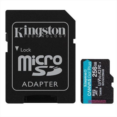 KINGSTON - Supporto SDXC 256 GB SDCG3256GB-Nero