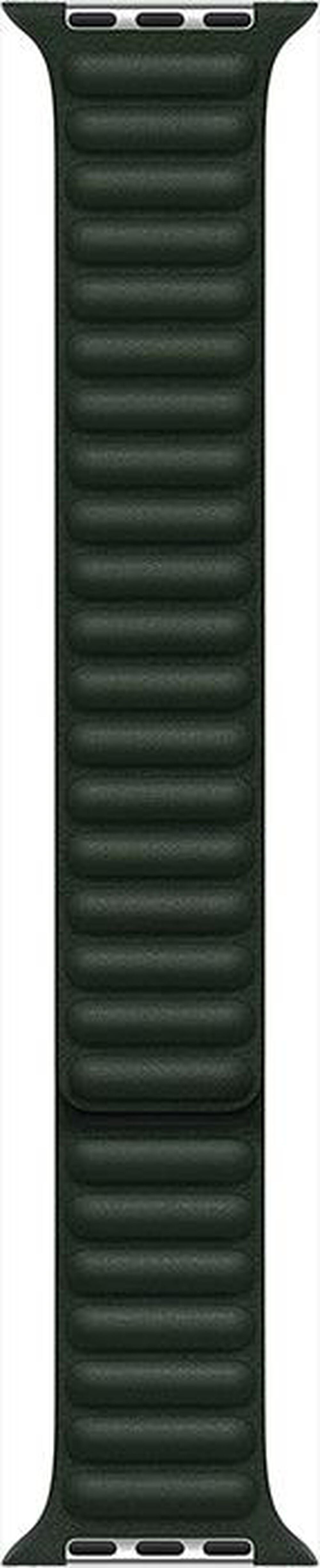 "APPLE - 41mm Leather Link - S/M-Sequoia Green"