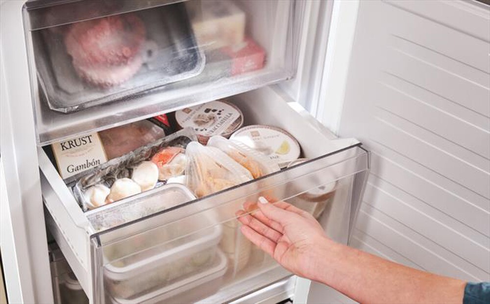 Immagine del prodotto CANDY - Frigorifero combinato CNCQ2T618EW Classe E 355 lt-Bianco