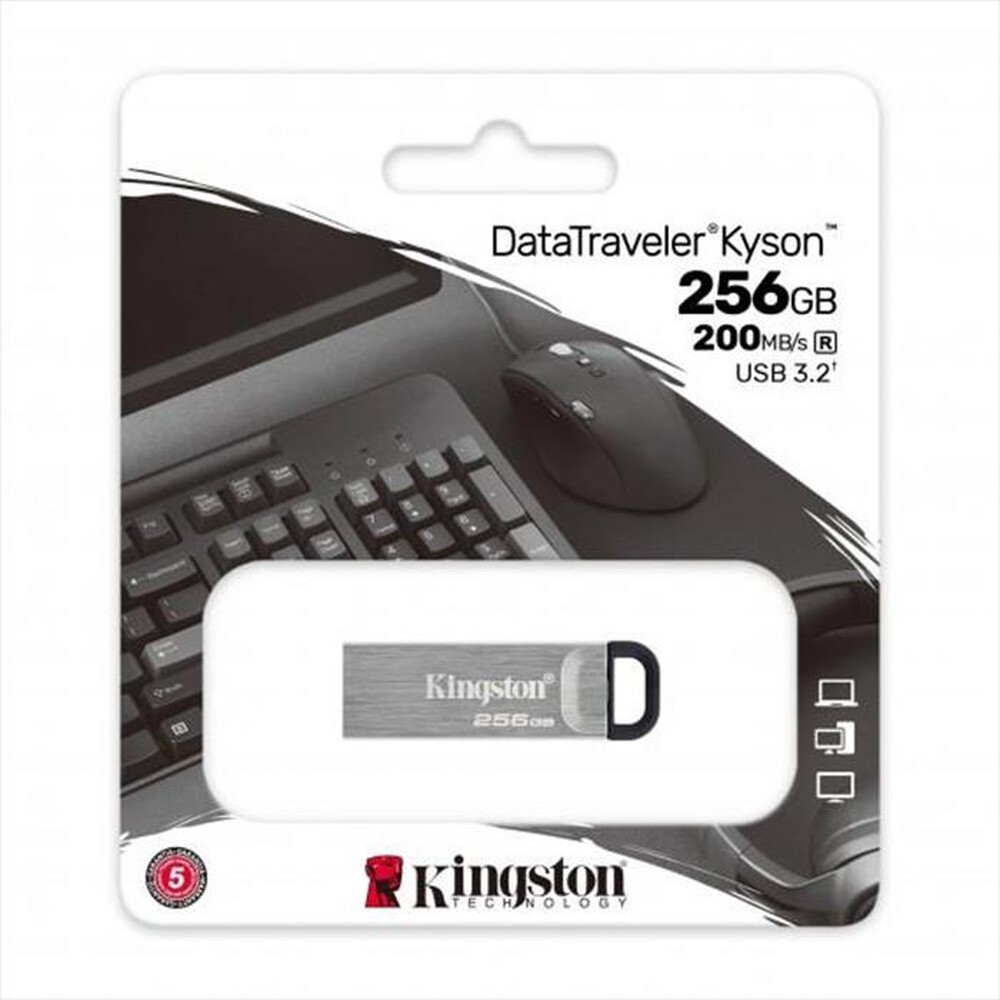 "KINGSTON - Memoria 256 GB DTKN256GB-Argento"