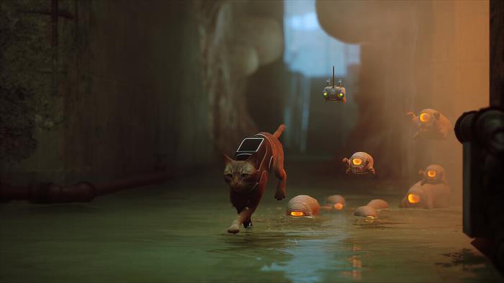 Immagine del prodotto SKYBOUND - STRAY PS5