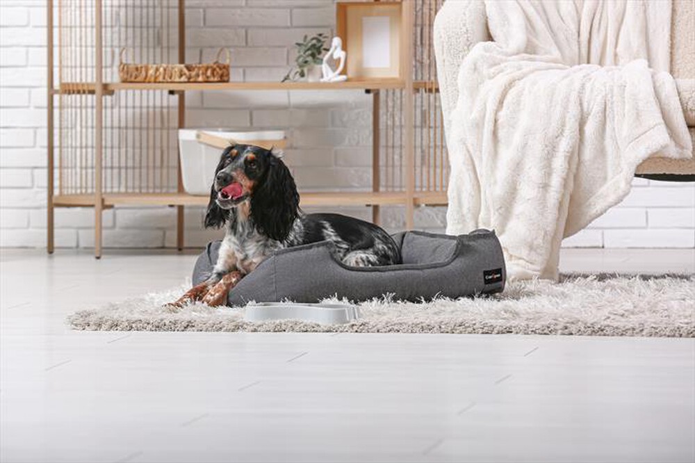 Immagine del prodotto CAREPET - CUCCIA SMART TG.M